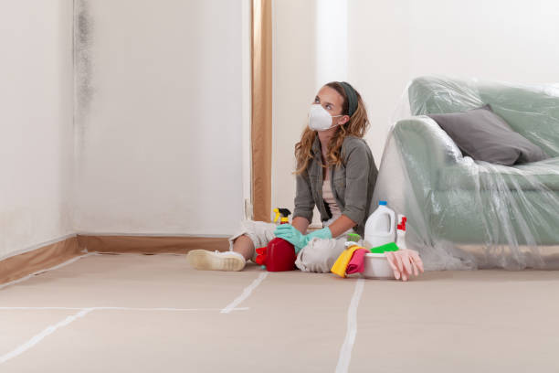 Reliable Commercial Mold Remediation contractor in Marriottsville, MD by Mold Remediation HQ